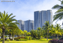 维度详情总用地面